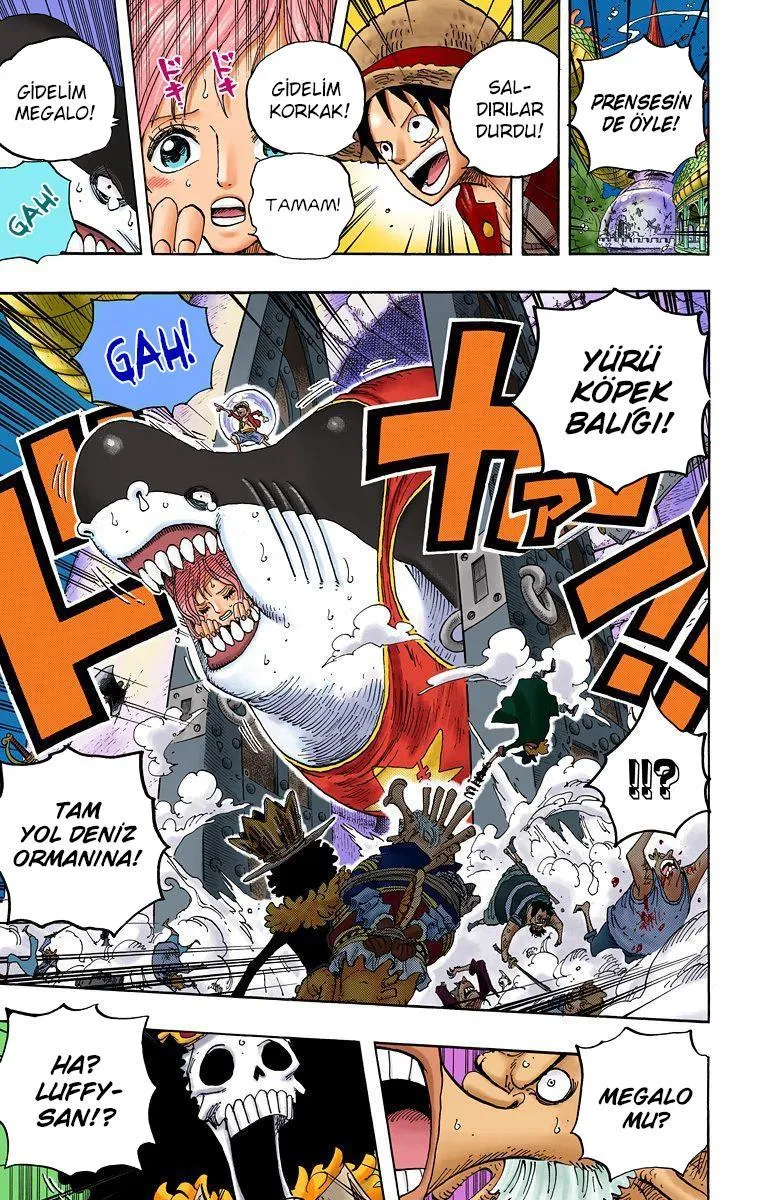 One Piece [Renkli] - Sayfa 17