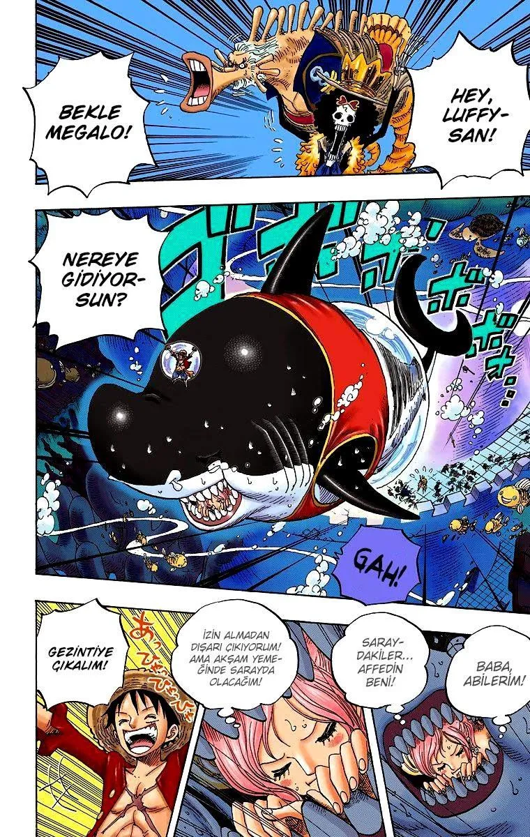 One Piece [Renkli] - Sayfa 3