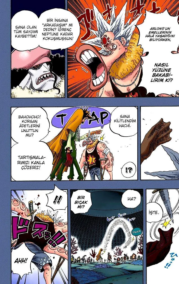 One Piece [Renkli] - Sayfa 11