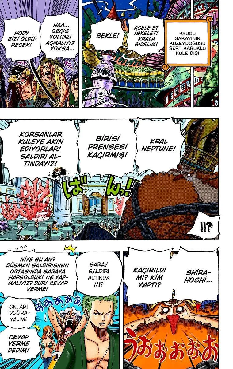 One Piece [Renkli] - Sayfa 16