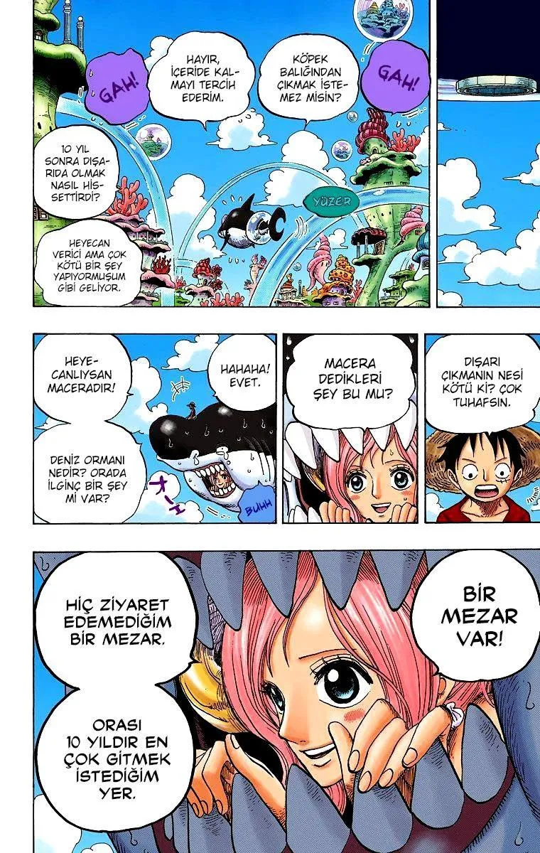 One Piece [Renkli] - Sayfa 17