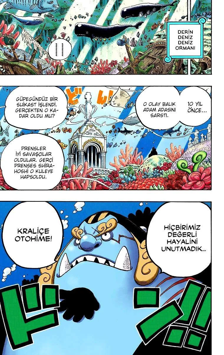 One Piece [Renkli] - Sayfa 18