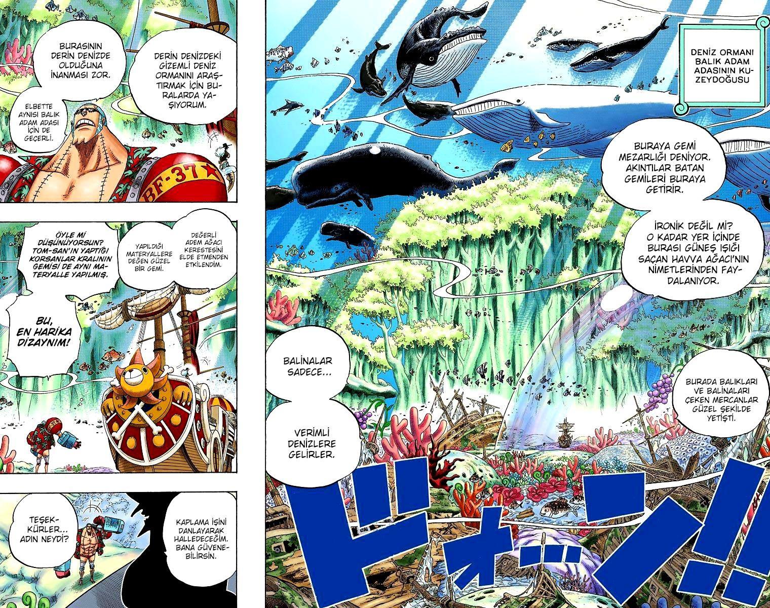 One Piece [Renkli] mangasının 0616 bölümünün 10. sayfasını okuyorsunuz.