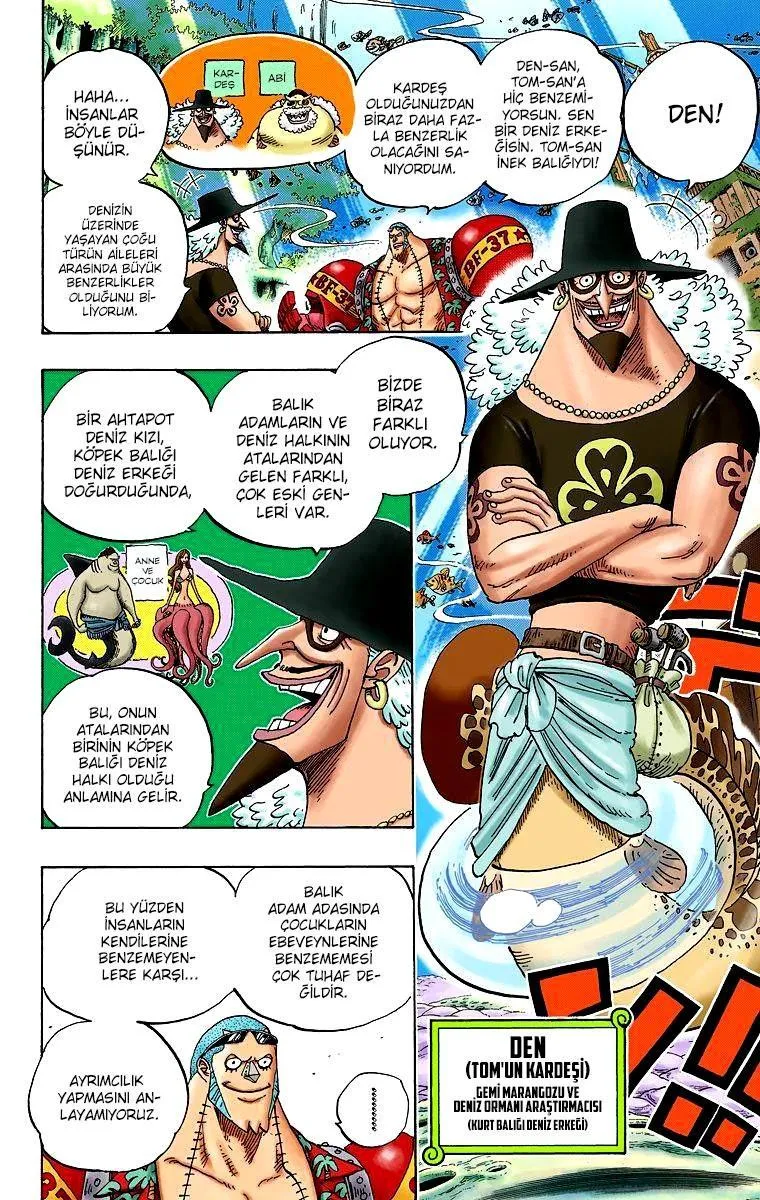 One Piece [Renkli] - Sayfa 11
