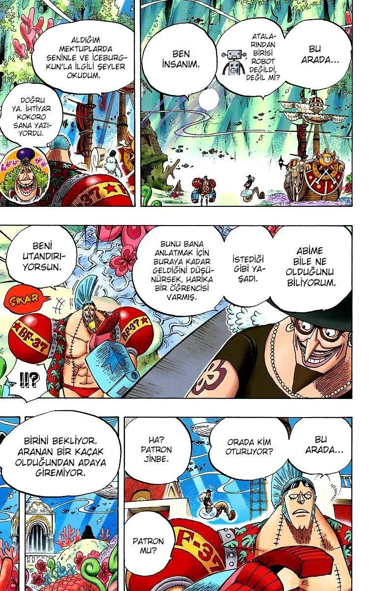 One Piece [Renkli] - Sayfa 12
