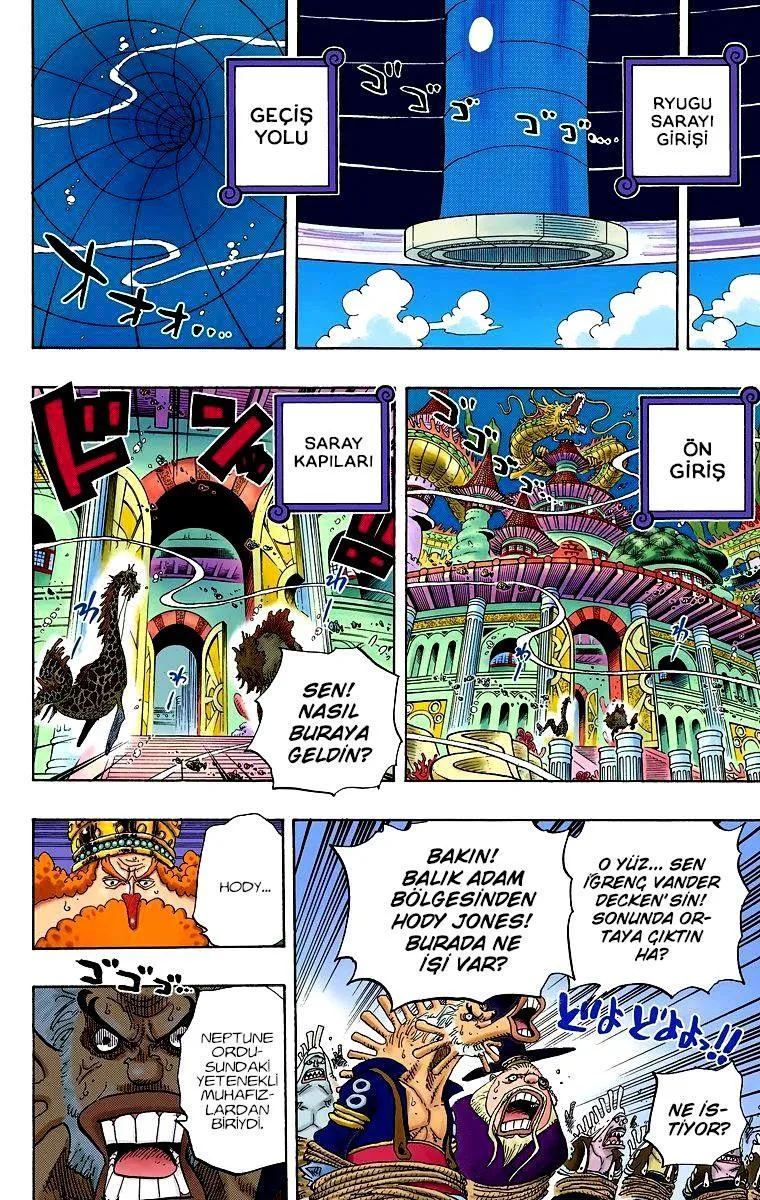 One Piece [Renkli] - Sayfa 13