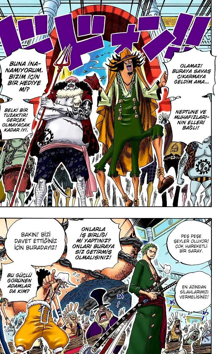 One Piece [Renkli] - Sayfa 14