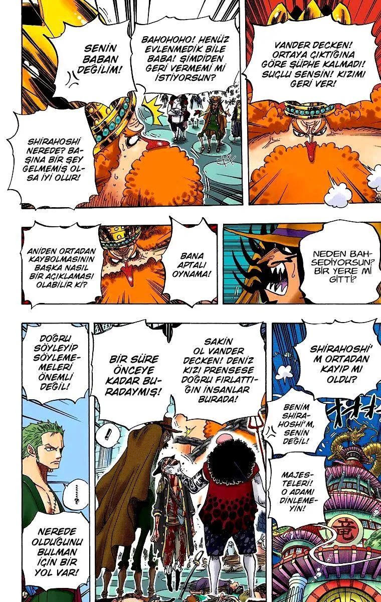 One Piece [Renkli] - Sayfa 15