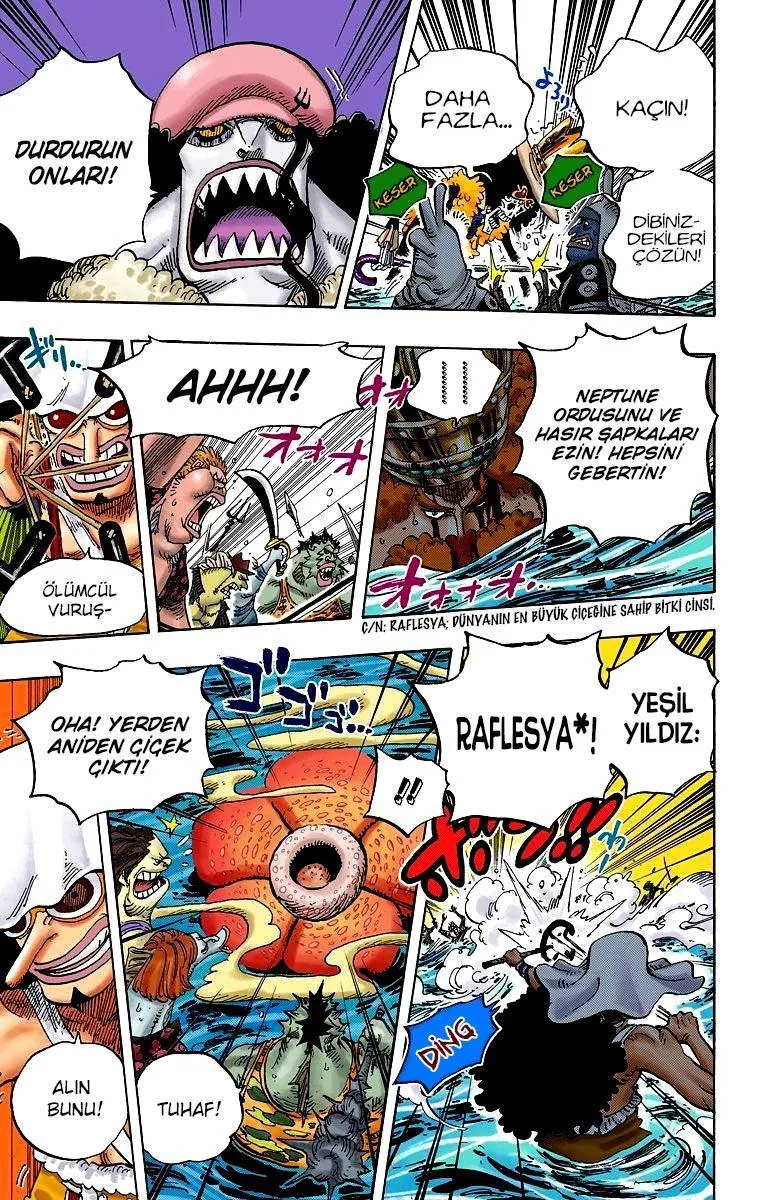 One Piece [Renkli] - Sayfa 12