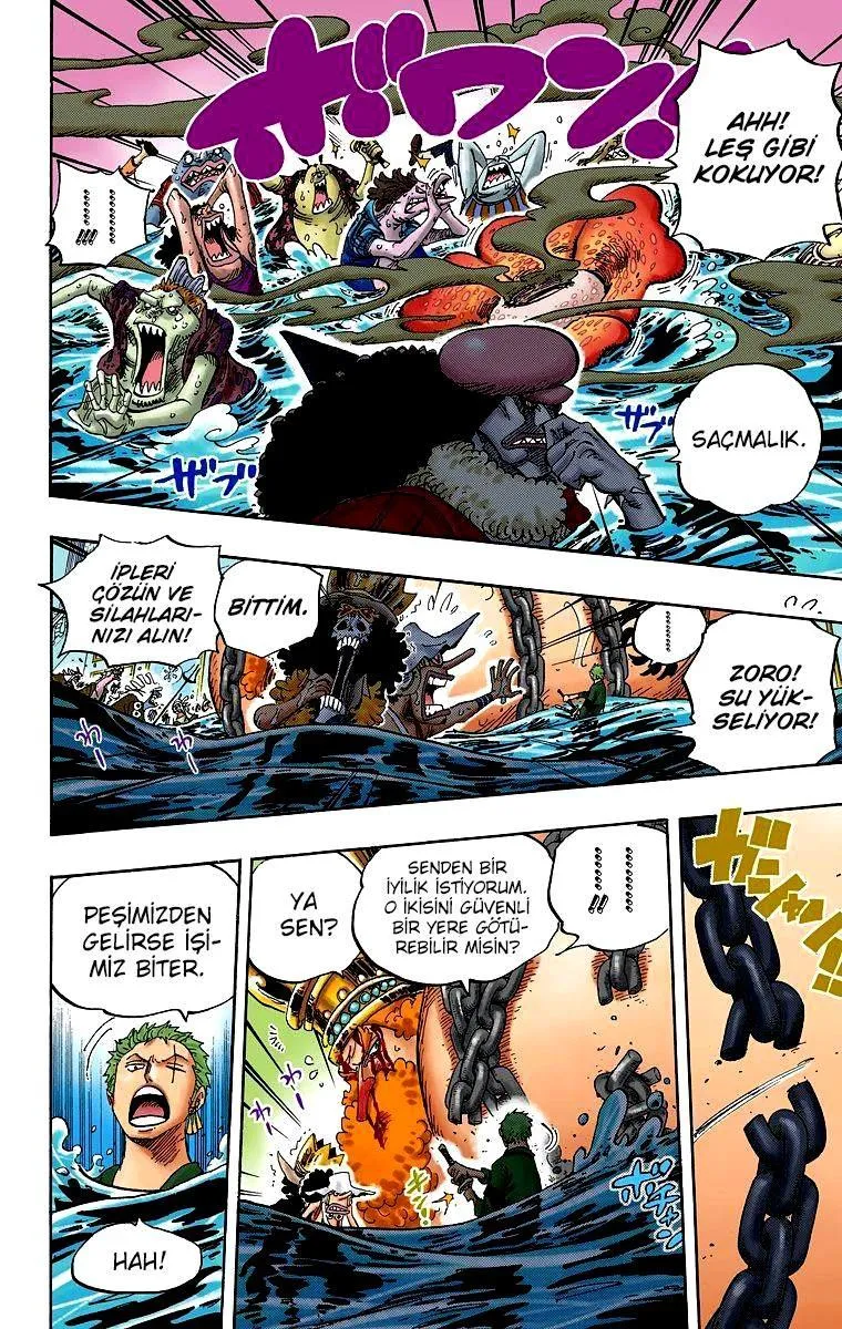 One Piece [Renkli] - Sayfa 13
