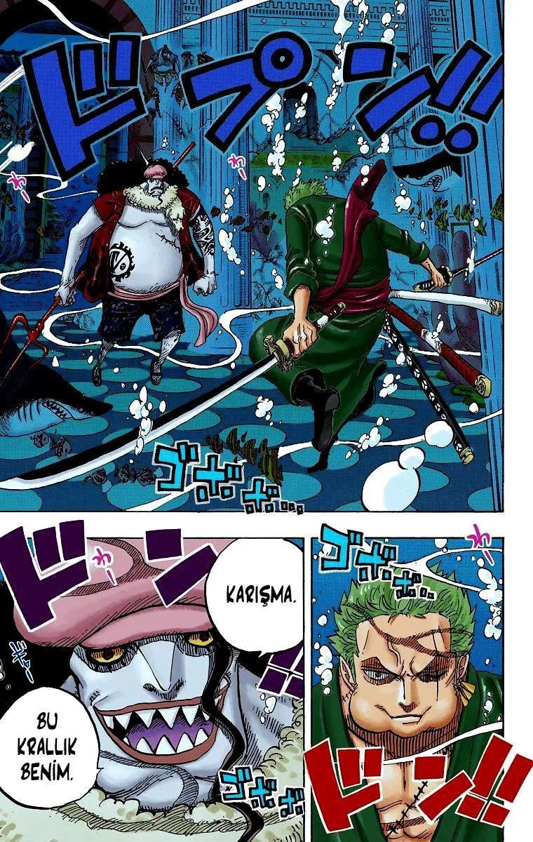 One Piece [Renkli] - Sayfa 14