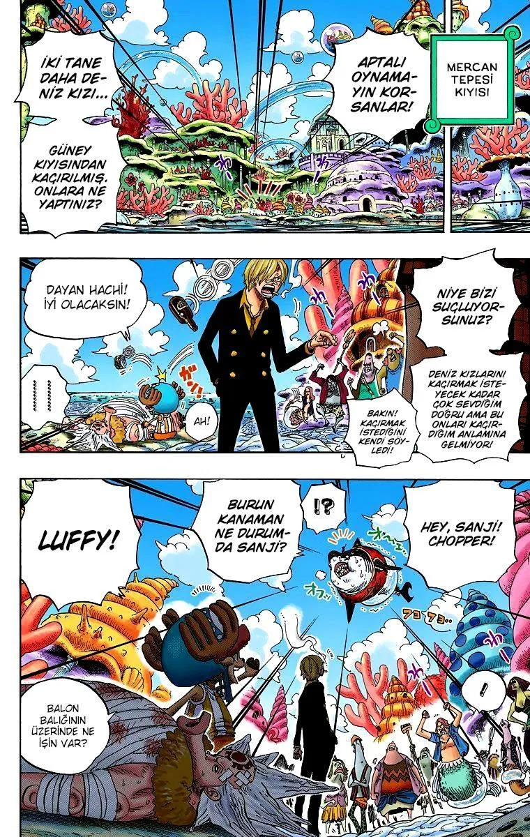 One Piece [Renkli] - Sayfa 15