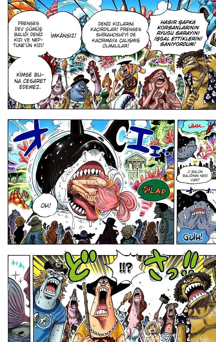 One Piece [Renkli] - Sayfa 17