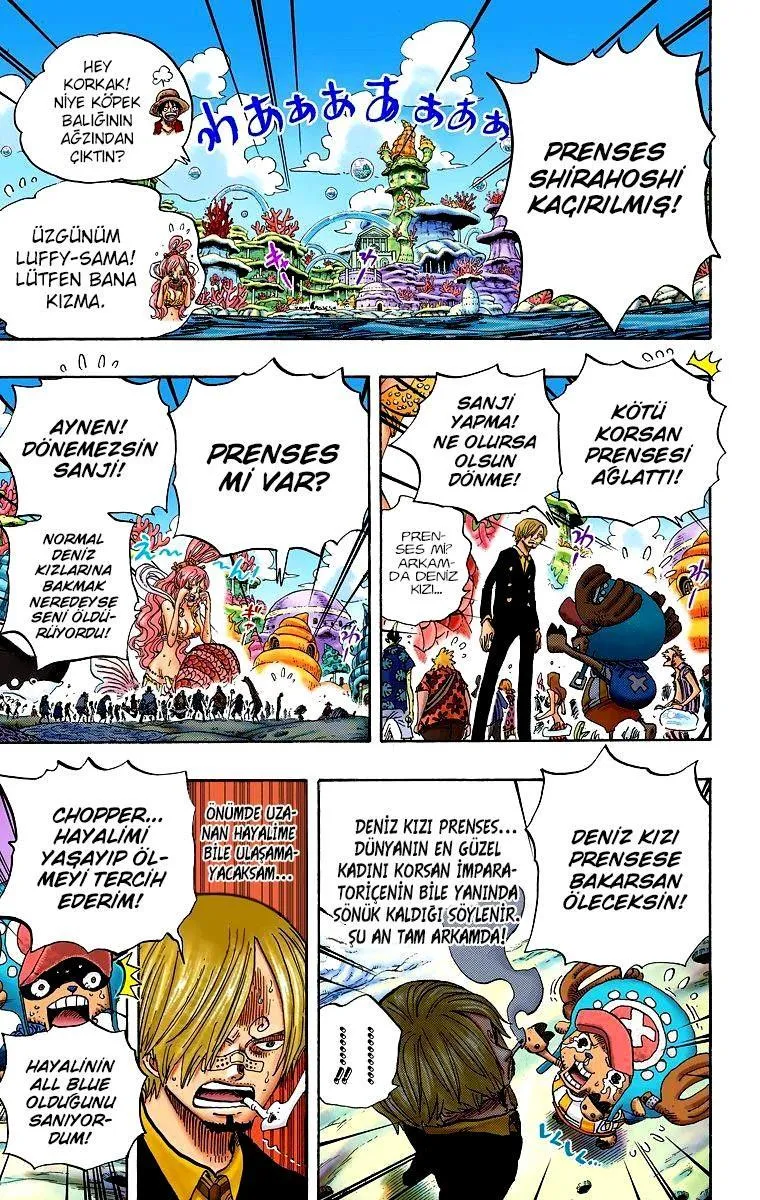 One Piece [Renkli] - Sayfa 3