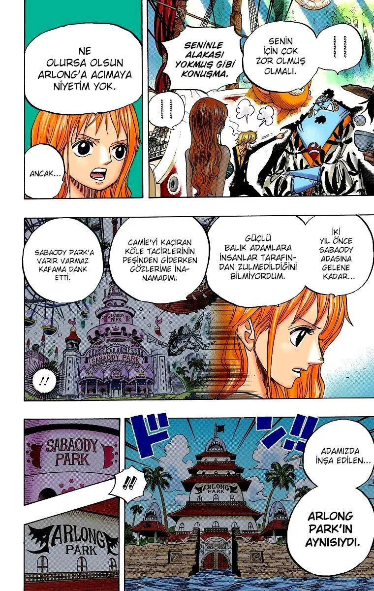 One Piece [Renkli] - Sayfa 13