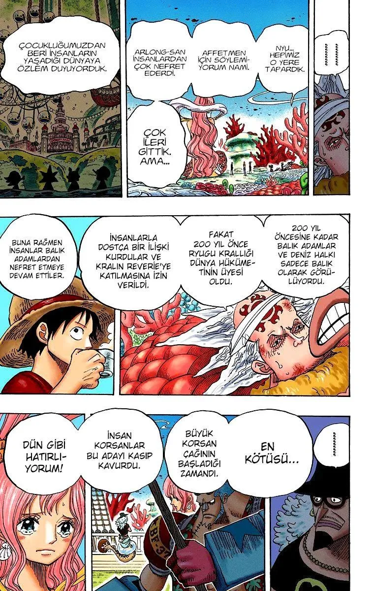 One Piece [Renkli] - Sayfa 14