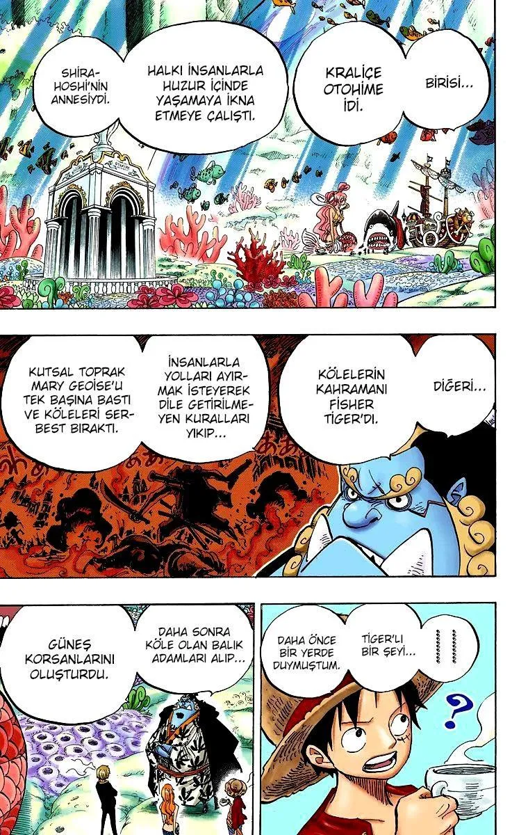 One Piece [Renkli] - Sayfa 16