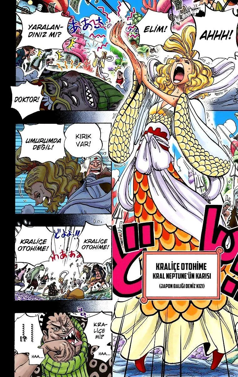 One Piece [Renkli] - Sayfa 5