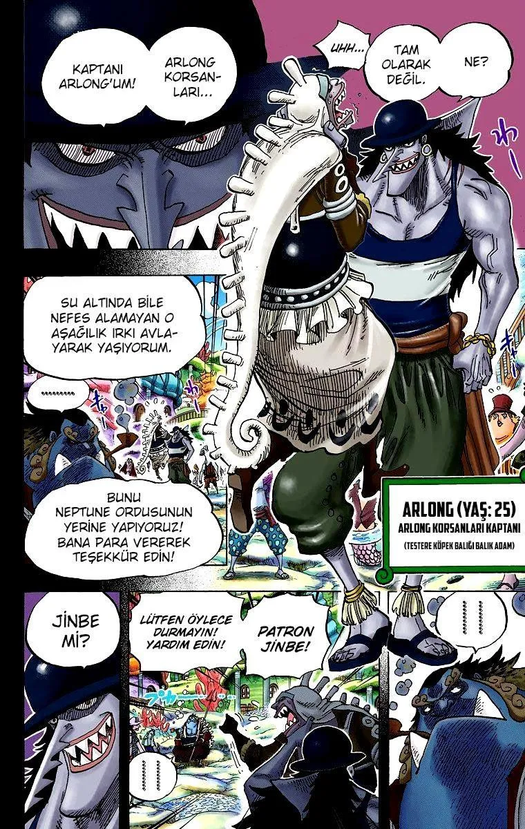 One Piece [Renkli] - Sayfa 13