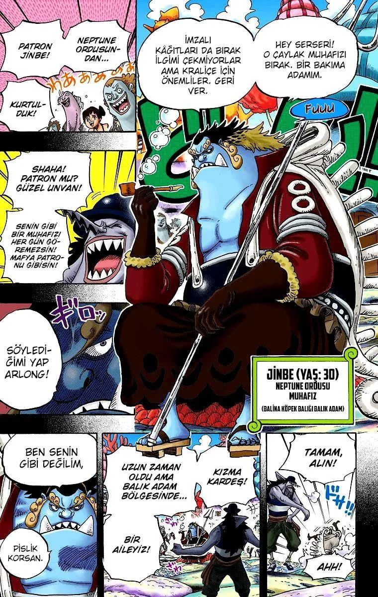 One Piece [Renkli] - Sayfa 14