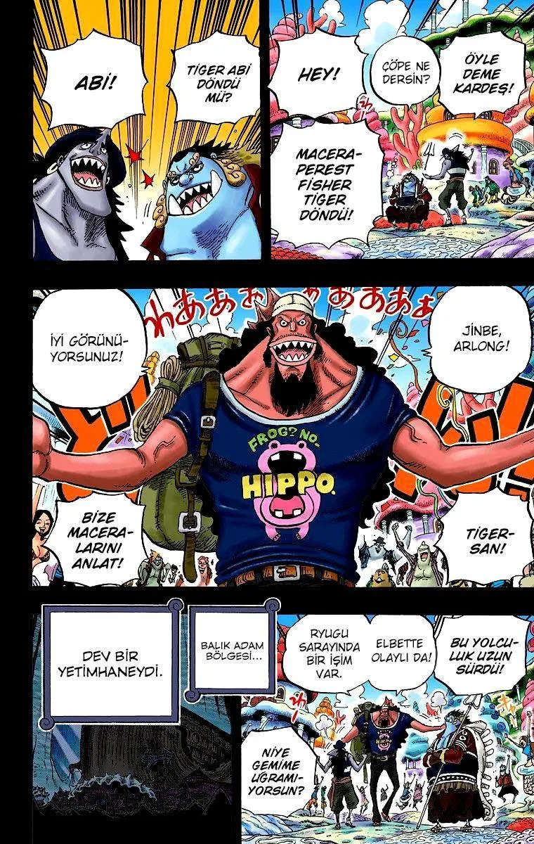 One Piece [Renkli] - Sayfa 15