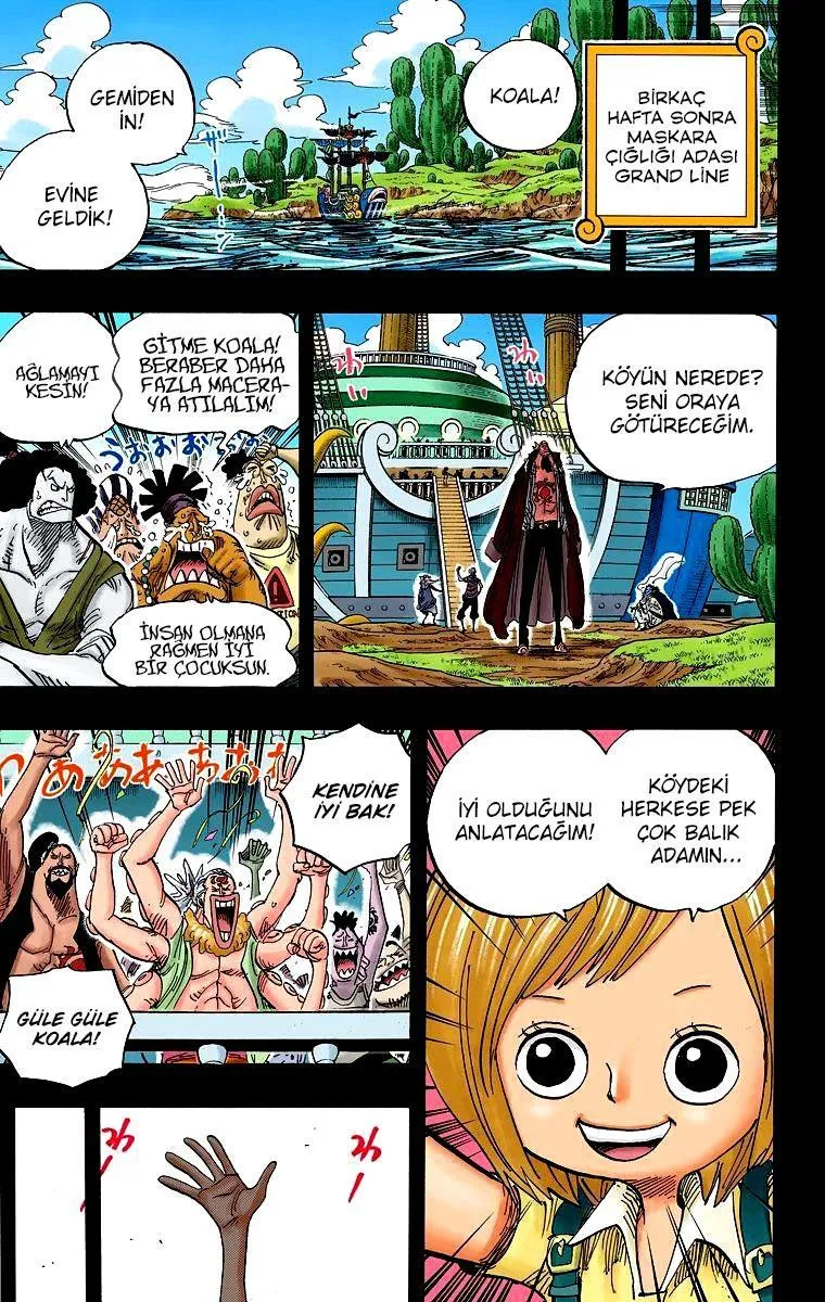 One Piece [Renkli] - Sayfa 8