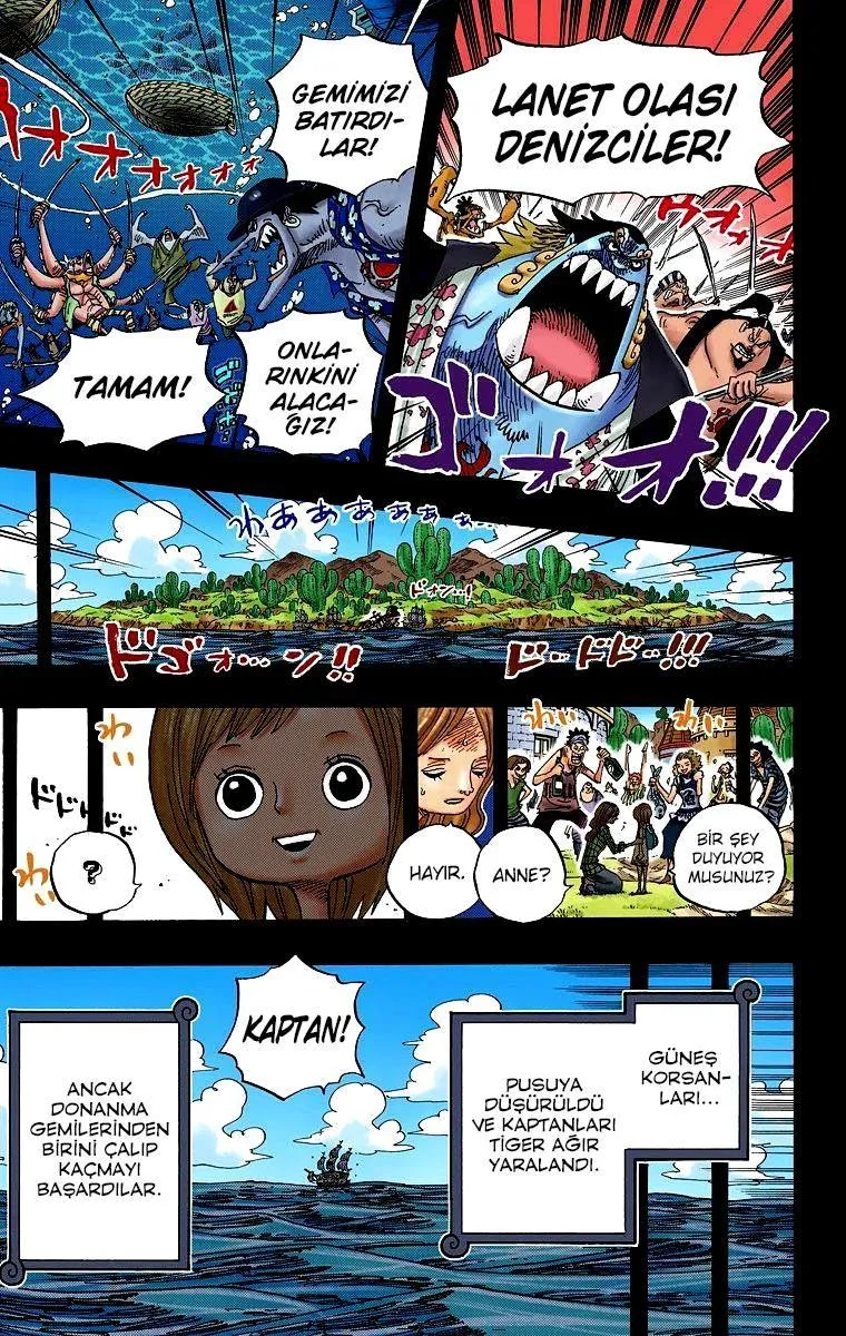 One Piece [Renkli] - Sayfa 14