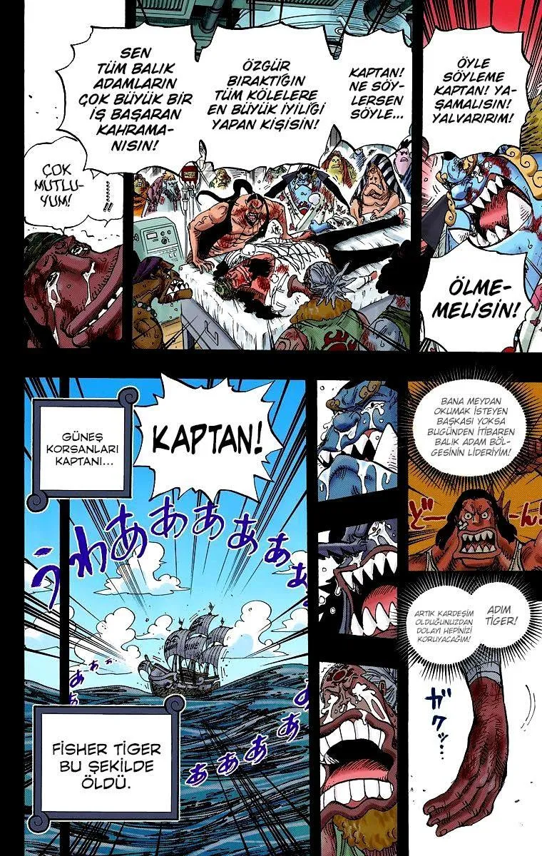 One Piece [Renkli] - Sayfa 19