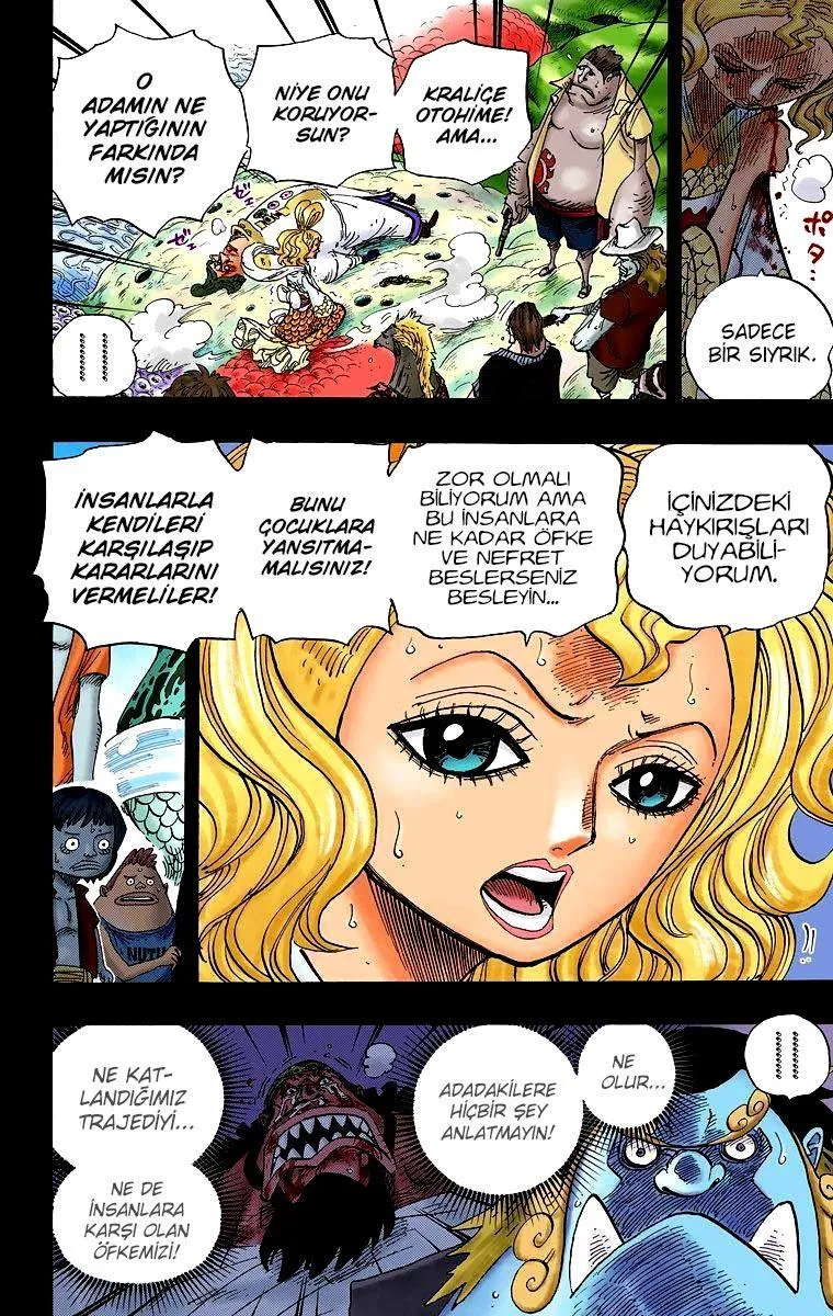 One Piece [Renkli] - Sayfa 11