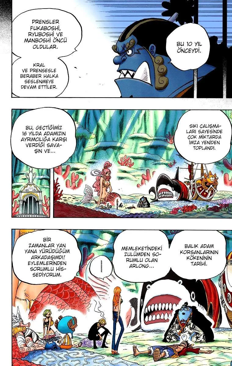 One Piece [Renkli] - Sayfa 12