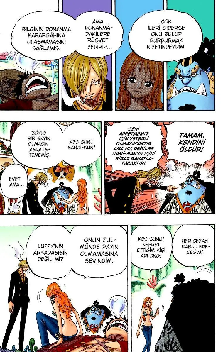 One Piece [Renkli] - Sayfa 13