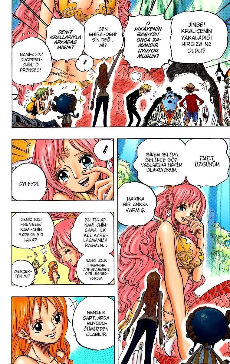 One Piece [Renkli] - Sayfa 16