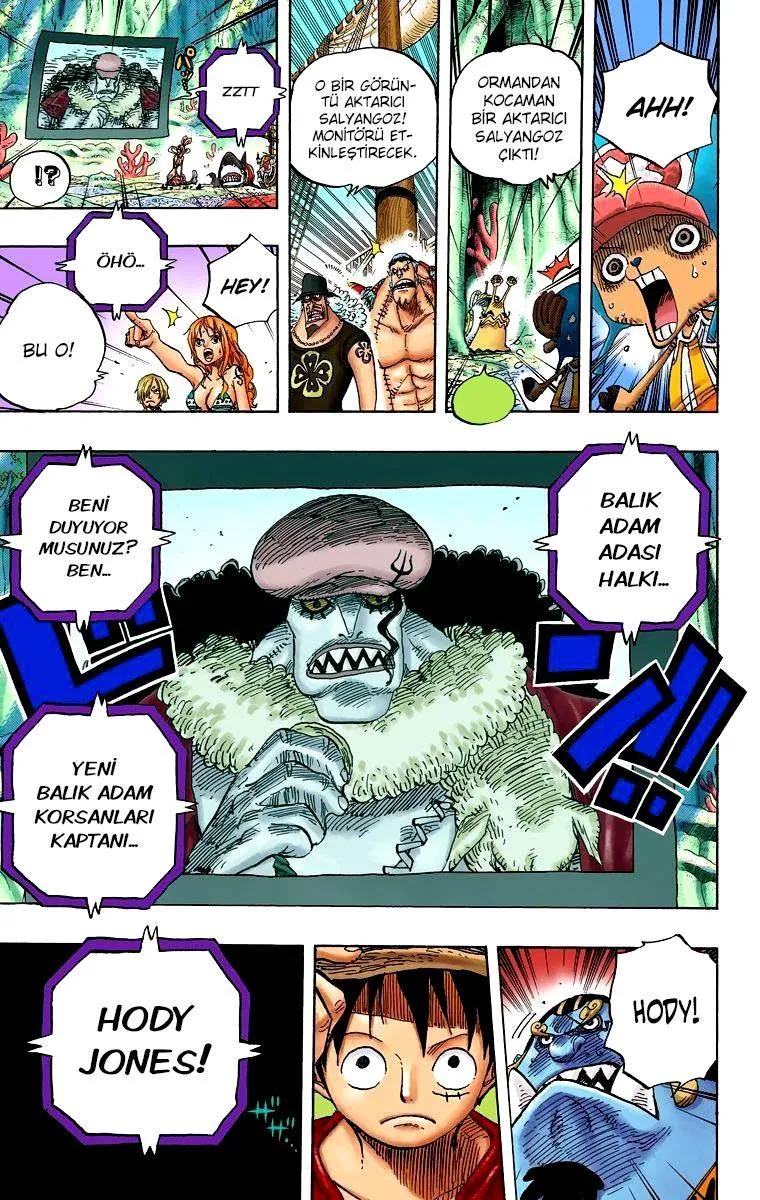 One Piece [Renkli] - Sayfa 19