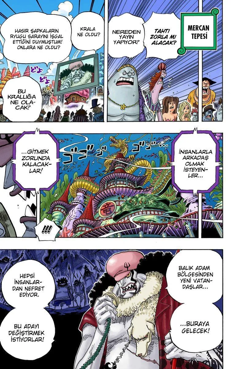 One Piece [Renkli] - Sayfa 5