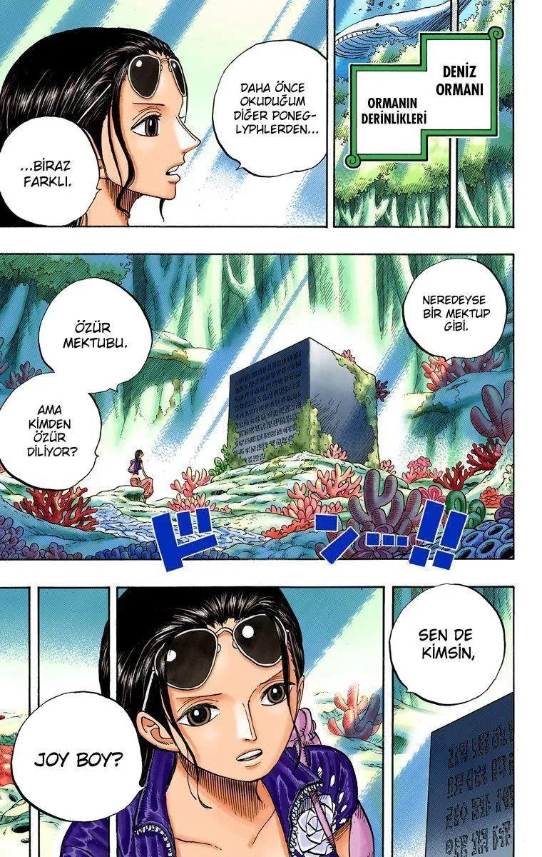 One Piece [Renkli] - Sayfa 15