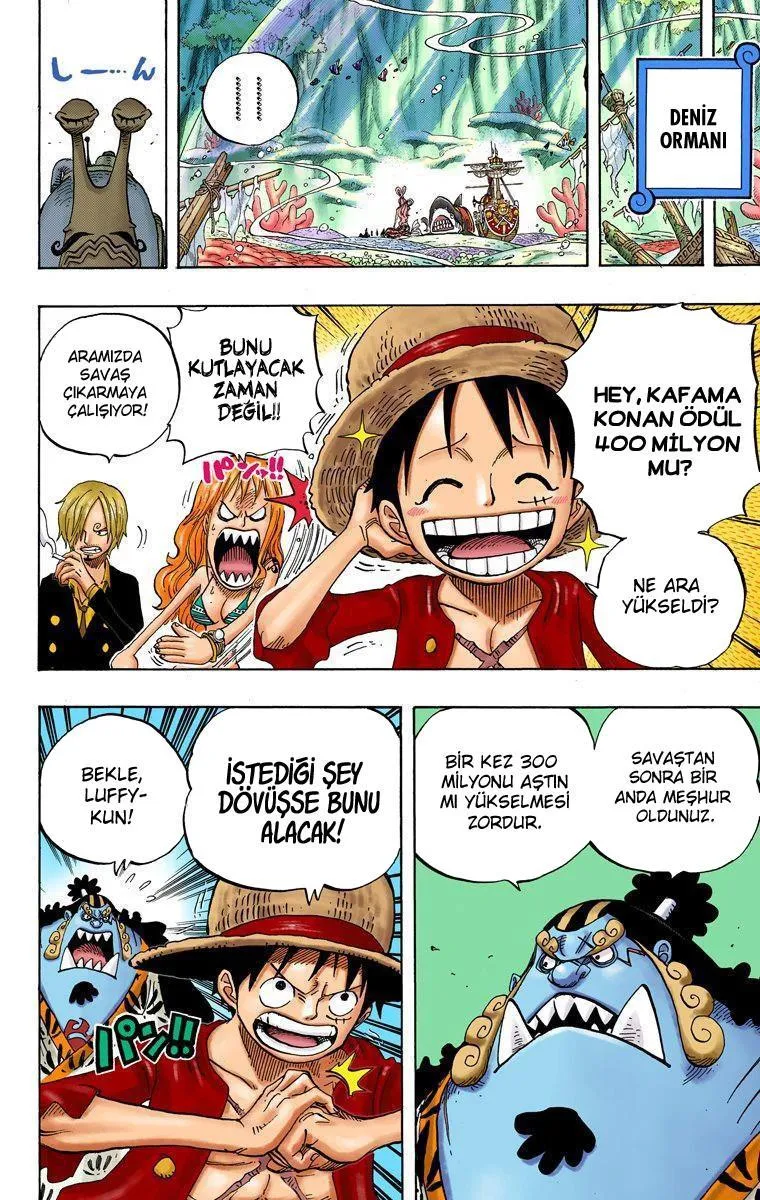 One Piece [Renkli] - Sayfa 16