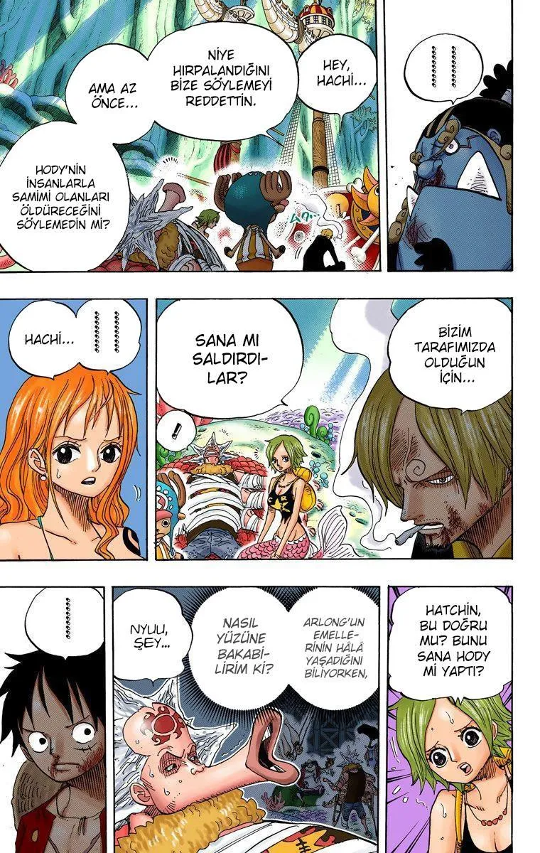 One Piece [Renkli] - Sayfa 11