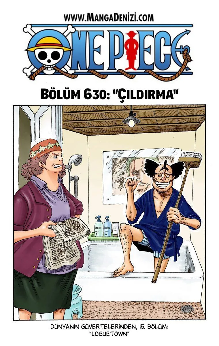 One Piece [Renkli] - Sayfa 2