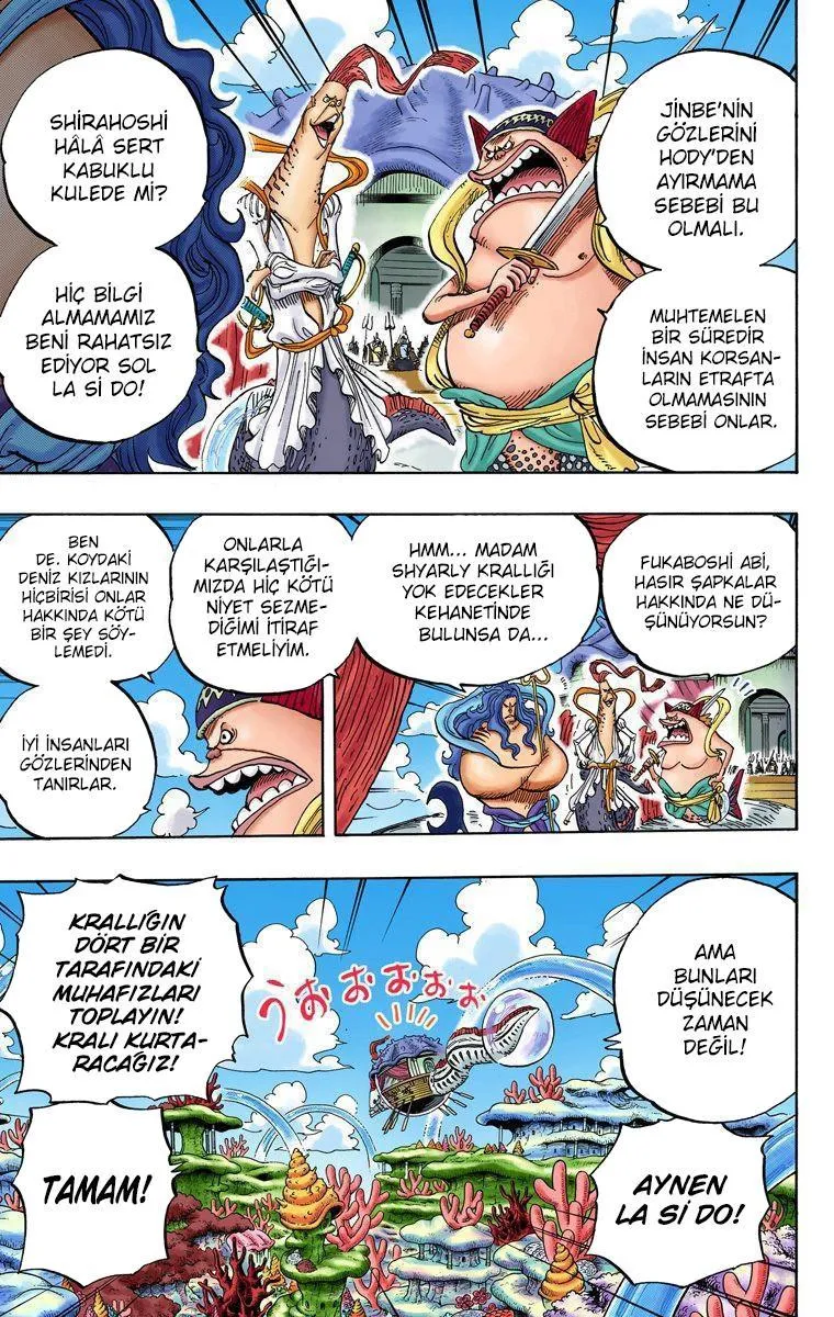 One Piece [Renkli] - Sayfa 12