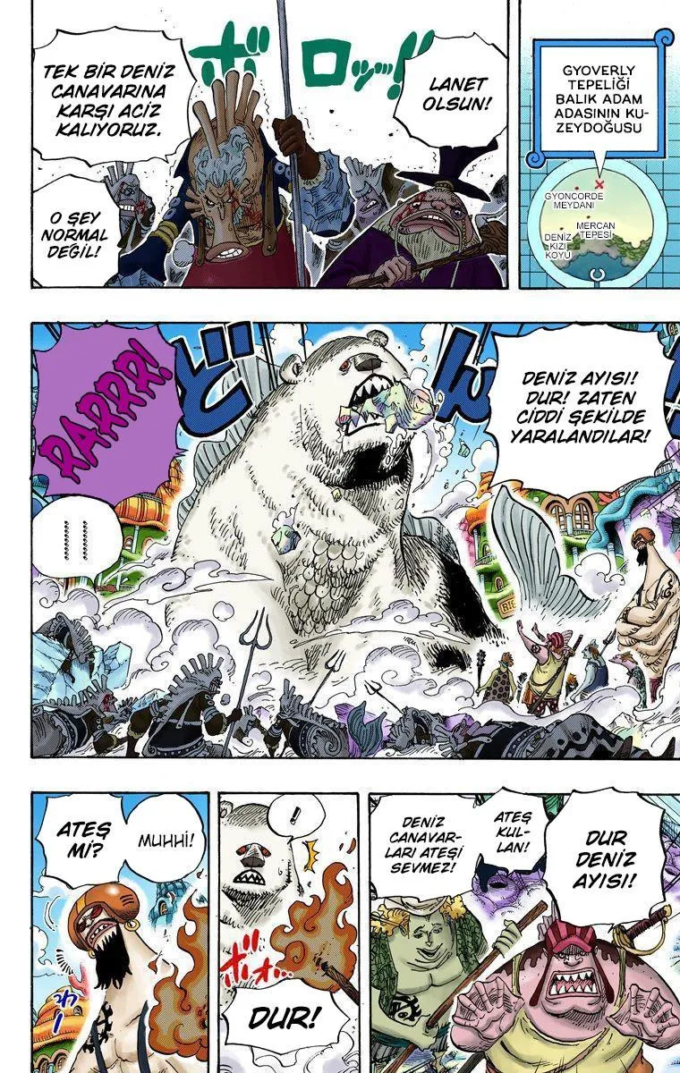 One Piece [Renkli] - Sayfa 13