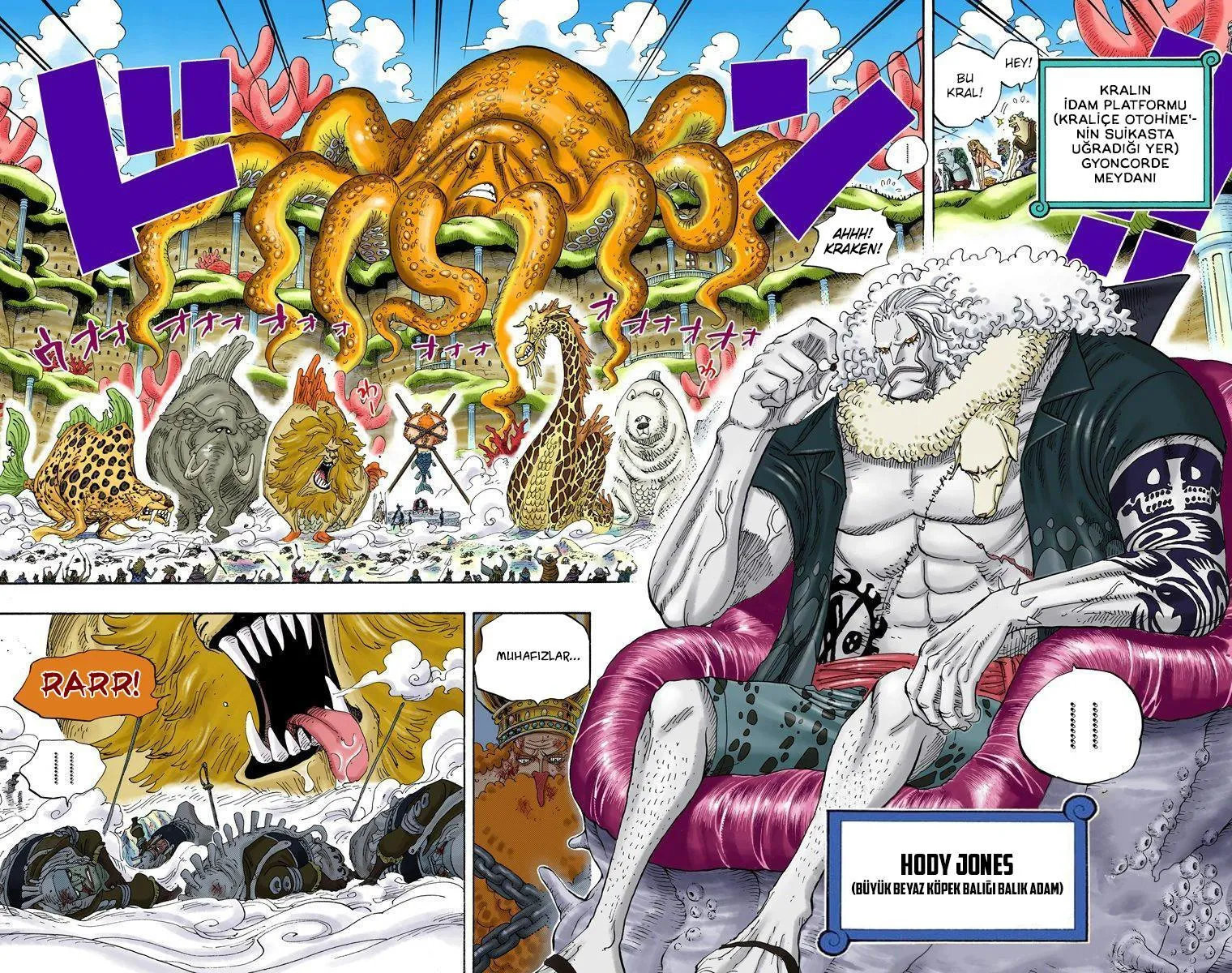 One Piece [Renkli] - Sayfa 7