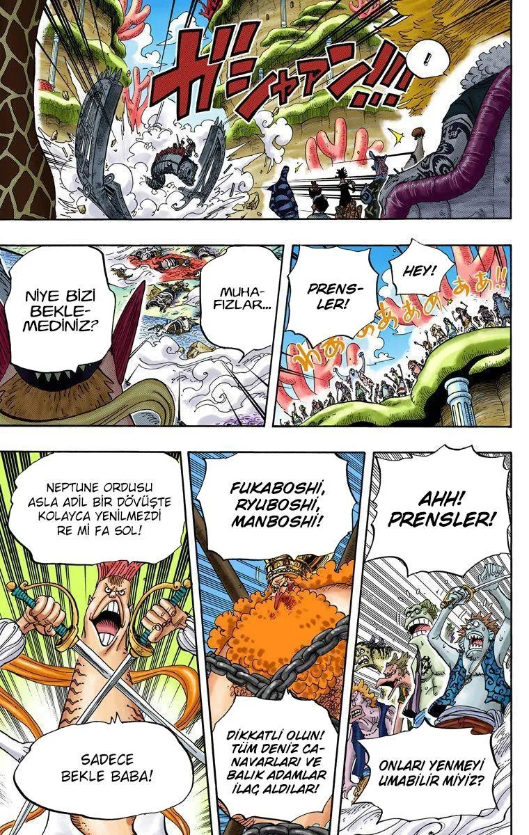 One Piece [Renkli] - Sayfa 13