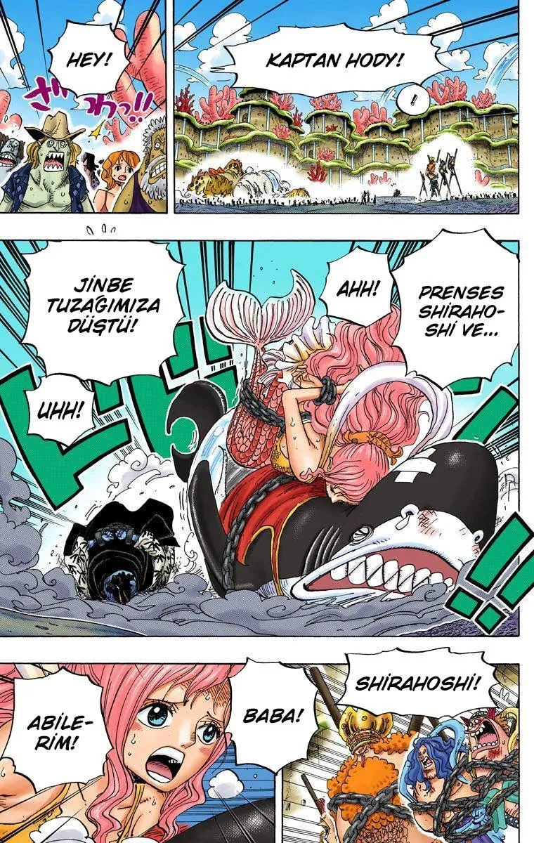 One Piece [Renkli] - Sayfa 7