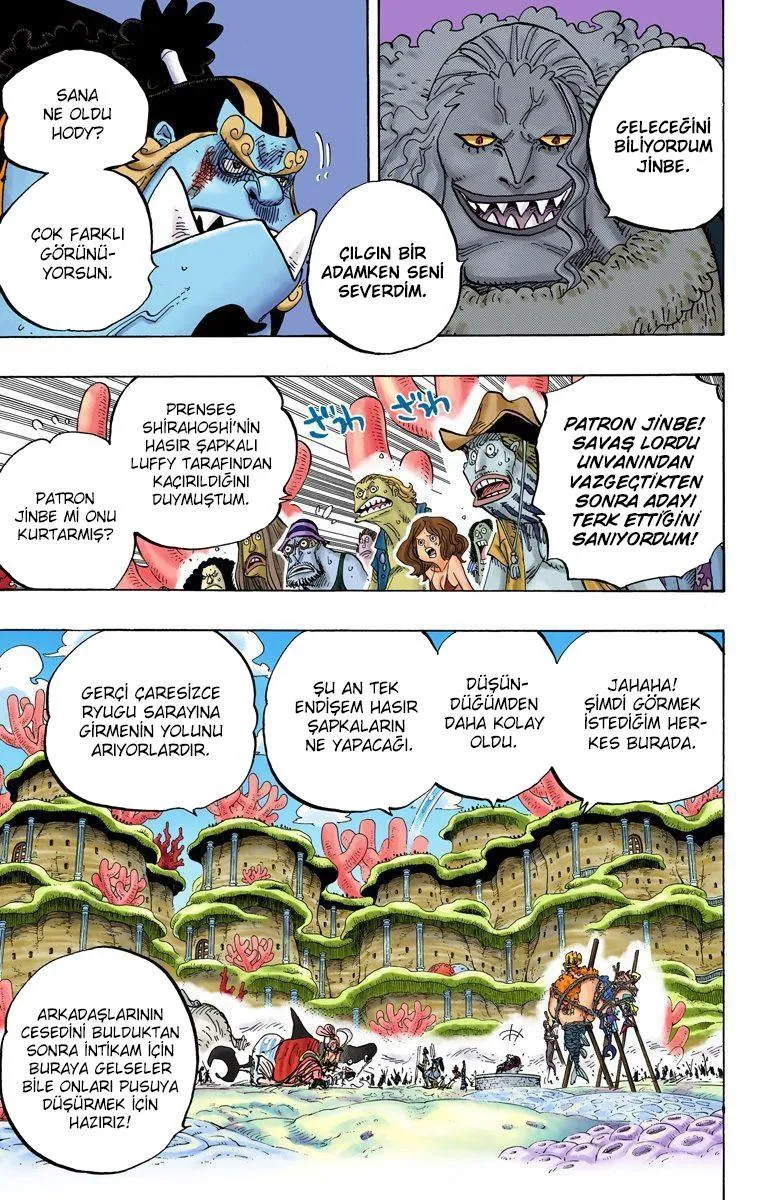 One Piece [Renkli] - Sayfa 9