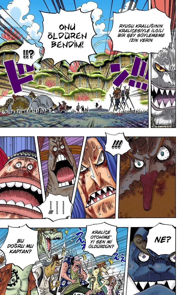 One Piece [Renkli] - Sayfa 14