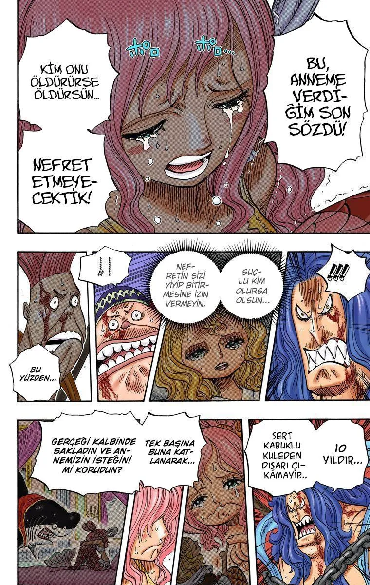 One Piece [Renkli] - Sayfa 4