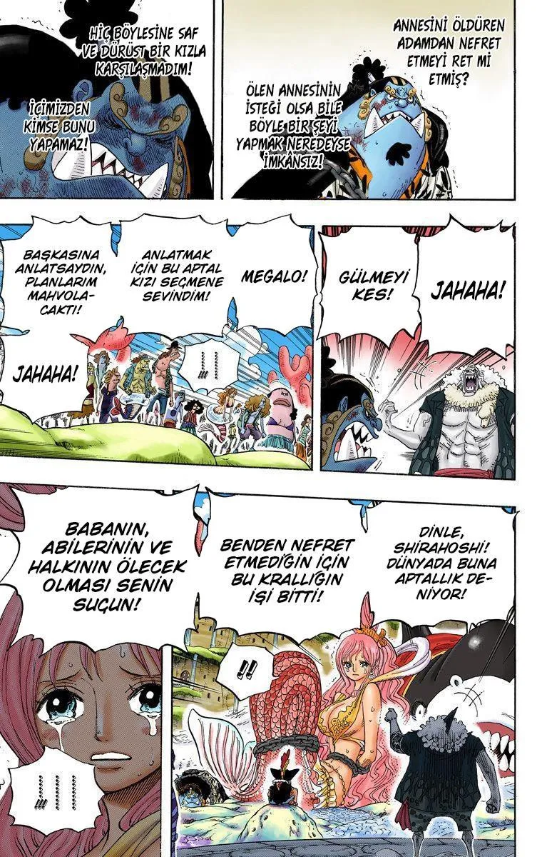 One Piece [Renkli] - Sayfa 5