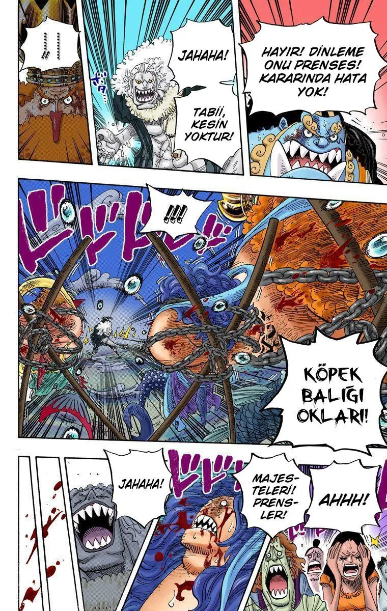 One Piece [Renkli] - Sayfa 6