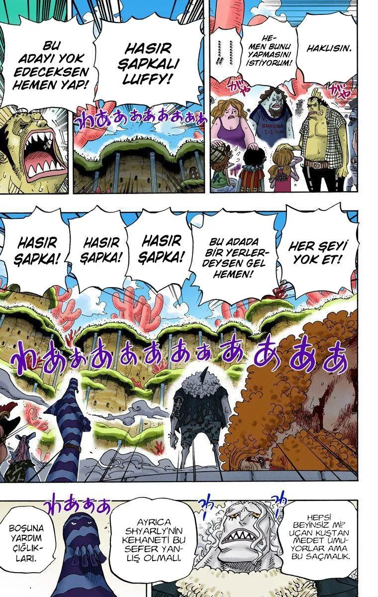 One Piece [Renkli] - Sayfa 9