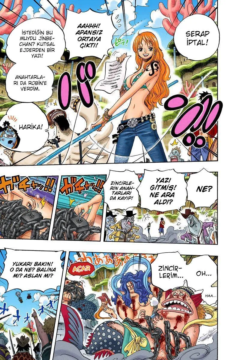 One Piece [Renkli] - Sayfa 14